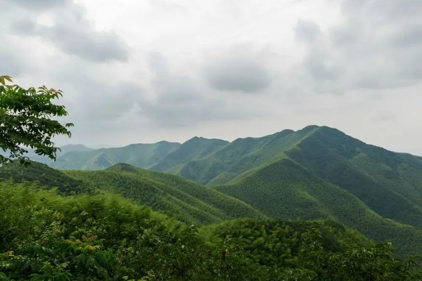 阳羡生态旅游区山顶景色