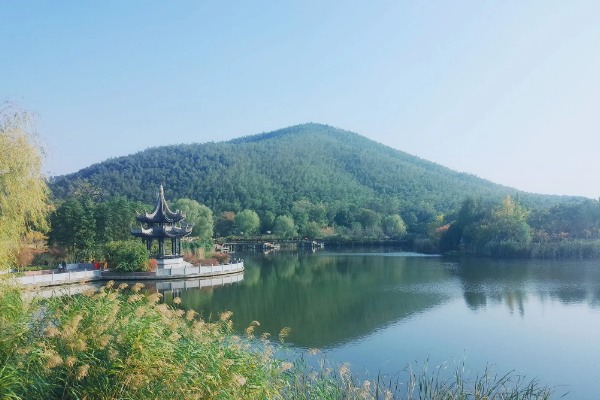 宜兴云湖美景