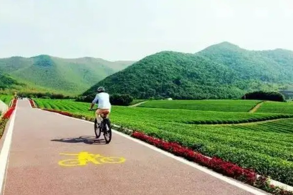 龙池山内骑行的人