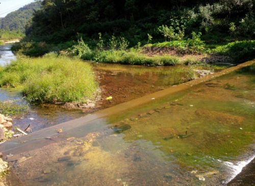 八都岕的清澈河水